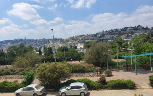 רימון